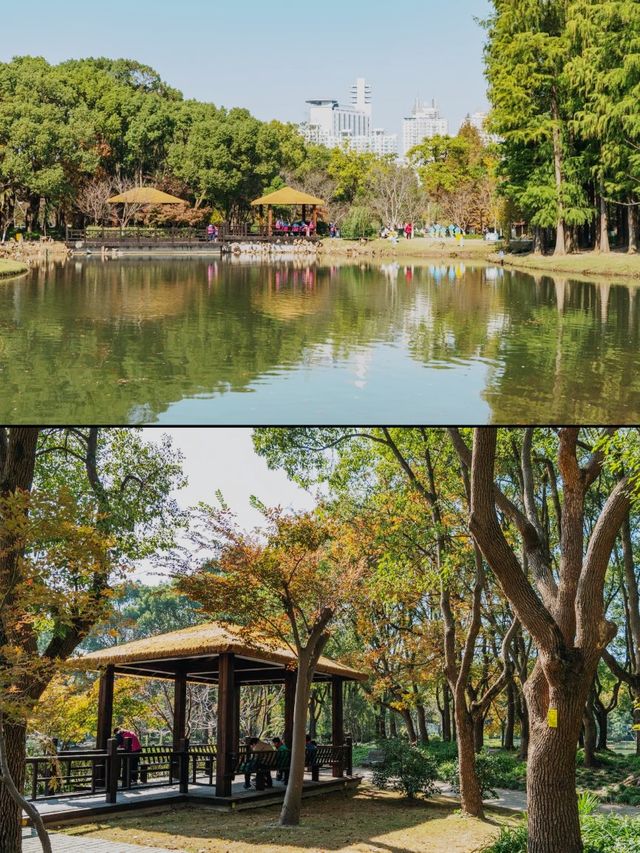 上海｜世紀公園的城市秋居畫卷