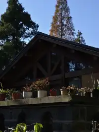 趁紅楓銀杏未落，走一趟莫干山蔣公古道吧！