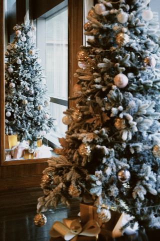 天津聖誕儀式感天花板！四季酒店給我快樂！