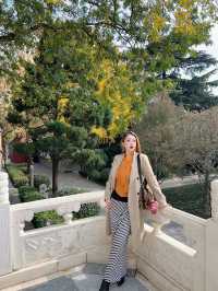 西安大雁塔一日遊攻略絲路起點探秘之旅