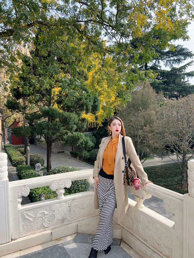 西安大雁塔一日遊攻略絲路起點探秘之旅