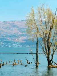 3天玩透大理白族自治州超省心攻略來了