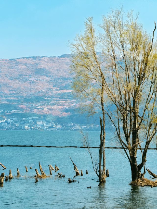 3天玩透大理白族自治州超省心攻略來了 3天玩透大理白族自治州超省心攻略來了