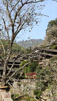 婺源太遠?溫州永嘉林坑村曬秋攻略來啦!