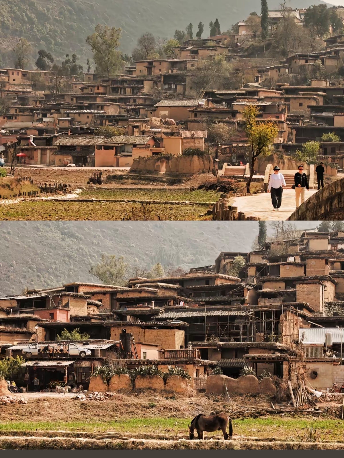 A hidden gem village around Kunming, Chengzi Ancient Village is absolutely stunning!