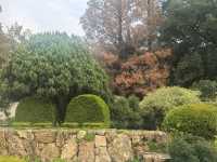 上海植物園隨拍