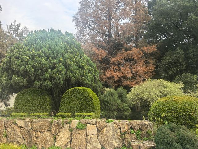 上海植物園隨拍