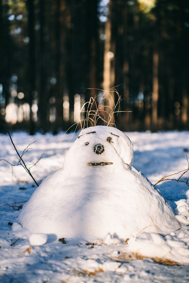 剛從漠河回來回來！漠河3天2晚旅遊攻略