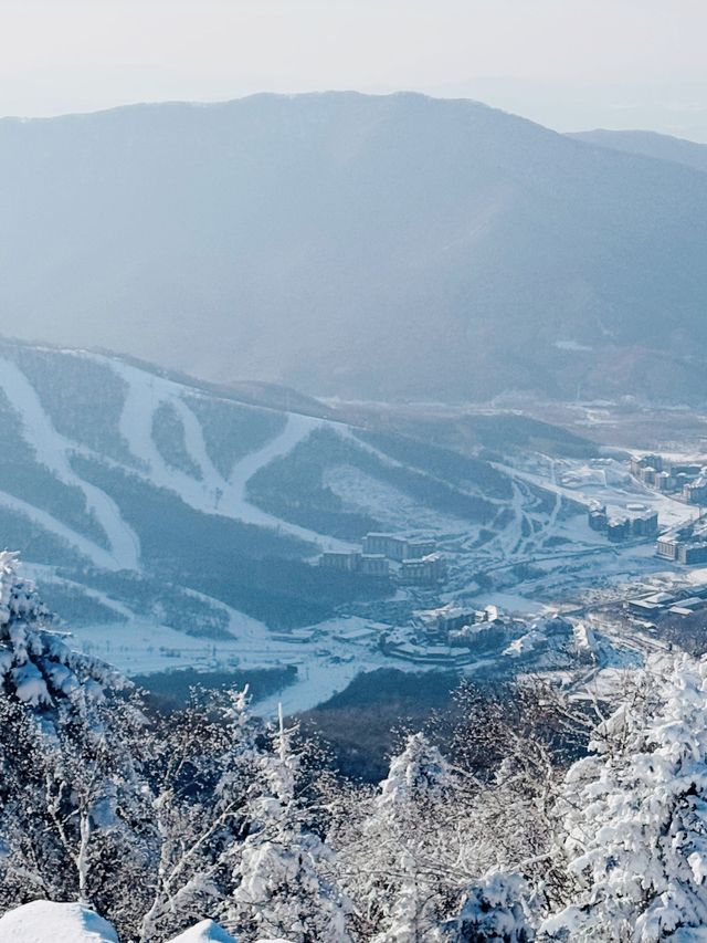 北大湖滑雪避坑指南 美景天堂≠新手友好,慎入! 北大湖滑雪避坑指南 美景天堂≠新手友好,慎入!
