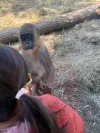 南京紅山，顛覆了我對動物園的認知(͒ ⓿ᴥ⓿ )͒