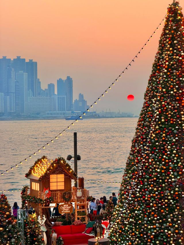 香港西九龍聖誕樹打卡攻略首日亮燈實拍絕了! 香港西九龍聖誕樹打卡攻略首日亮燈實拍絕了!