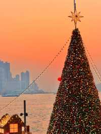 香港西九龍聖誕樹打卡攻略首日亮燈實拍絕了!