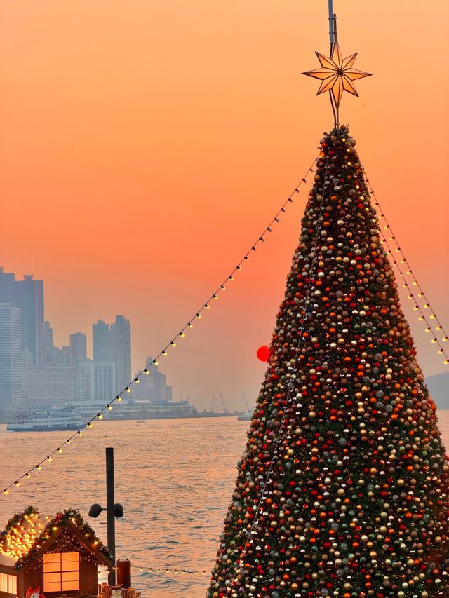 香港西九龍聖誕樹打卡攻略首日亮燈實拍絕了! 香港西九龍聖誕樹打卡攻略首日亮燈實拍絕了!