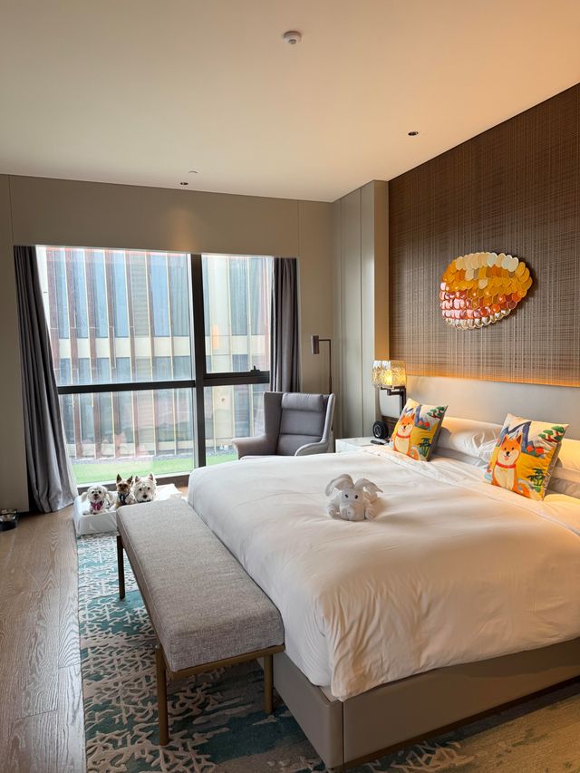 上海臨港凱悅酒店｜不出滬小眾度假天堂，寵物友好酒店打卡！