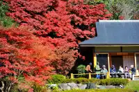 名古屋紅葉 東山植物園2025.11.27