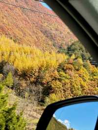 秦嶺帶娃帶父母封神線5天4晚小眾慢遊，躺玩不費媽超治癒