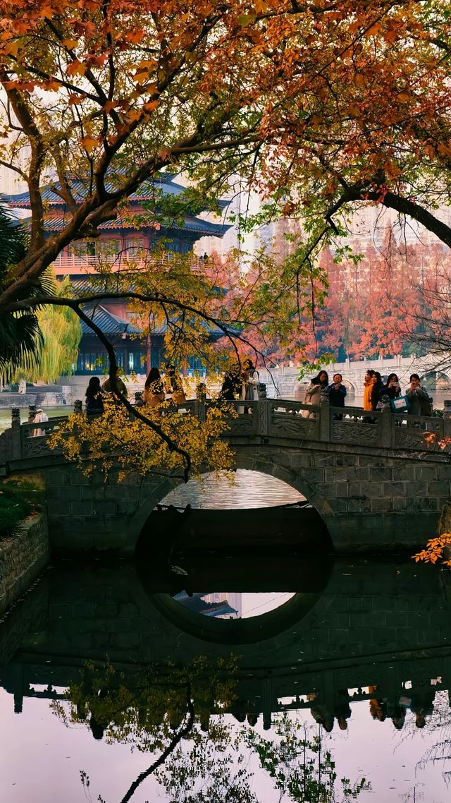 深秋限定合肥逍遙津的絕美金色童話 深秋限定合肥逍遙津的絕美金色童話