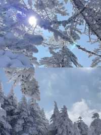 踏雪而上,赴轎子雪山的白頭之約