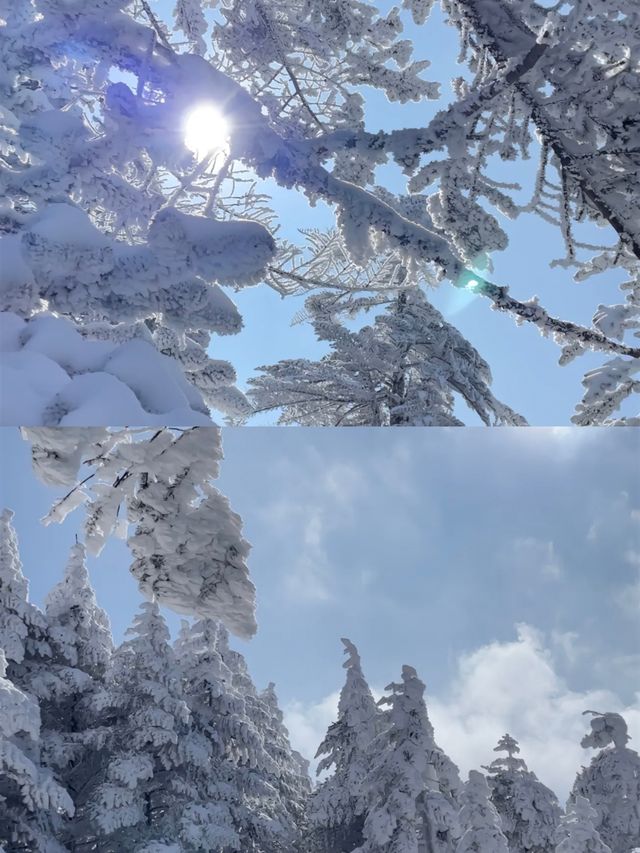 踏雪而上,赴轎子雪山的白頭之約 踏雪而上,赴轎子雪山的白頭之約