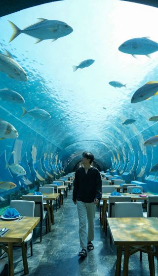 Sanya staycation, leave Christmas to the sea breeze