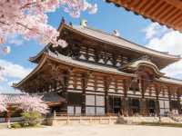 🇯🇵Kiyomizu-dera: Kyoto’s Timeless Wooden Wonder with the history ⭐