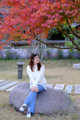 The maple leaves at Zhenji Temple in Yandang Mountain have turned red