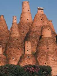 冬天沒計劃快來紅河等地治癒系旅行正當時