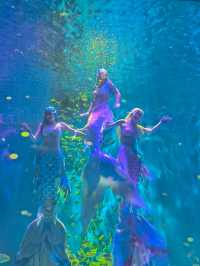 哈爾濱極地公園攻略筆記