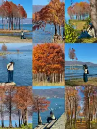 愛回收|來大理直接複製這條洱海一日遊路線!