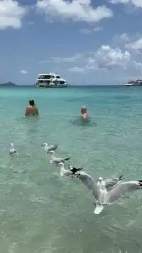 聖靈群島歸來不看海