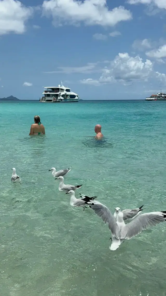 聖靈群島歸來不看海