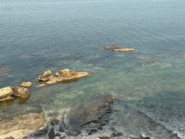 煙台養馬島避寒|清素逸居的治癒慢時光 煙台養馬島避寒|清素逸居的治癒慢時光