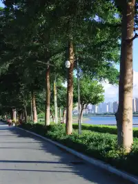 防止你失業後在泉州不知道做什麼（合集）