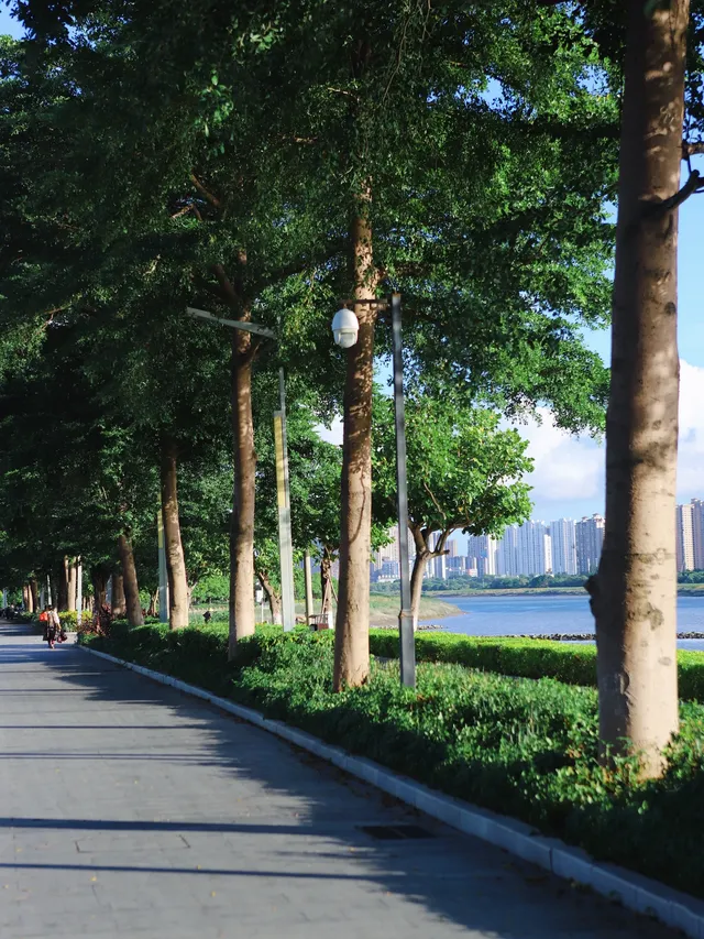 防止你失業後在泉州不知道做什麼（合集）