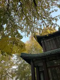 好天氣在玄武湖，度過無所事事的下午