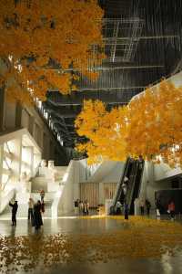 魔都看展|上海當代藝術博物館打卡,絕美光影藝術展