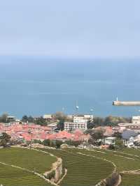 青島1天遊|冬天來這兒簡直絕配