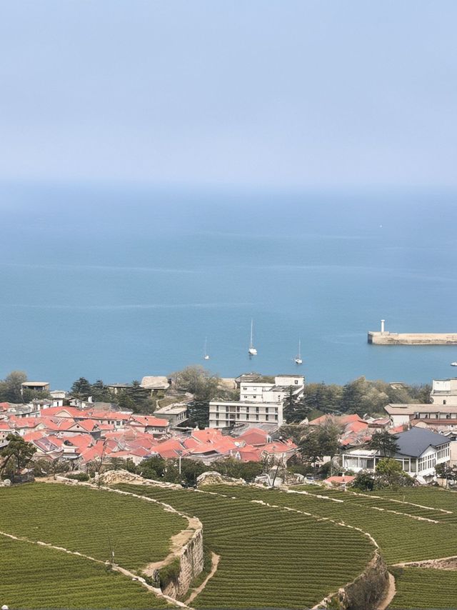 青島1天遊|冬天來這兒簡直絕配 青島1天遊|冬天來這兒簡直絕配