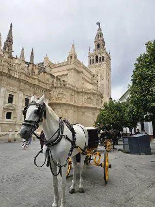 ทริปลึกซึ้ง 16 วันในสเปนและโปรตุเกส