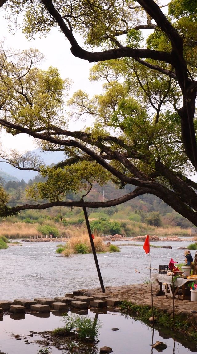 福州嵩口古鎮:景色醉人的桃源仙境 福州嵩口古鎮:景色醉人的桃源仙境