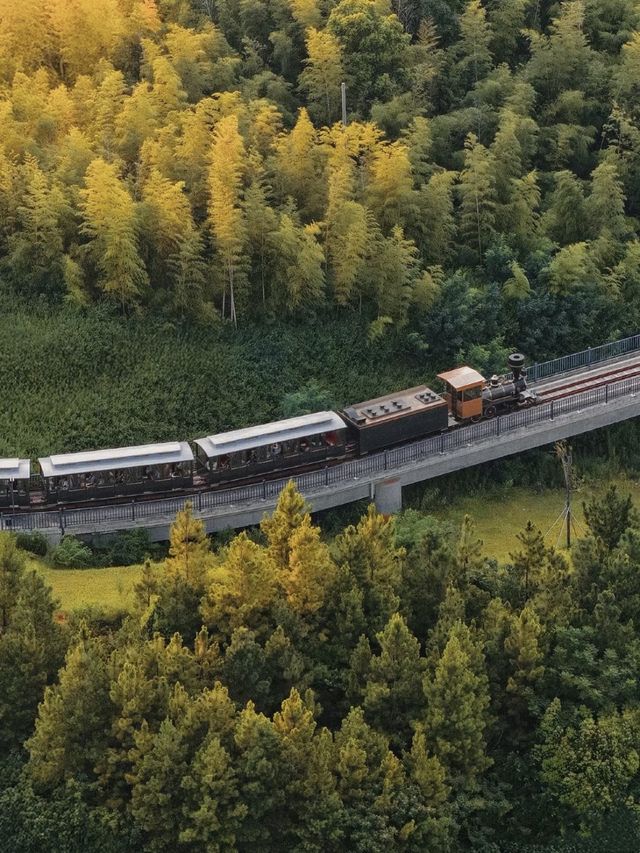 上海周邊2h直達!走進蘇東坡的詩畫陽羨 上海周邊2h直達!走進蘇東坡的詩畫陽羨