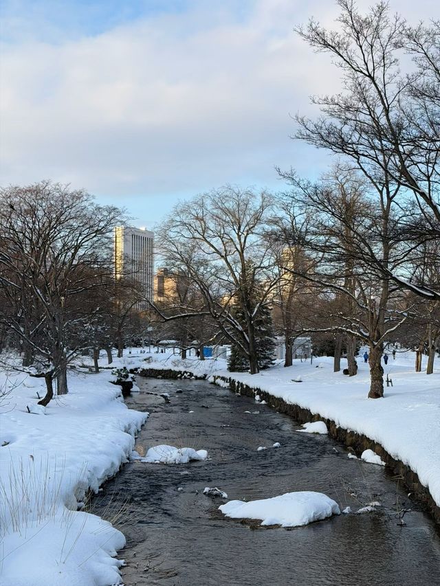 北海道雪夜夢境｜20年後的重逢與釋懷