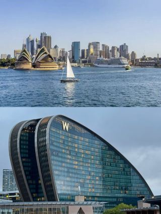 Sydney W Hotel's Harbor-Inspired Wave Design Aesthetic