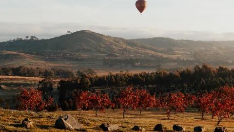 Australia Autumn Travel Inspiration: Canberra — traveler post in Canberra