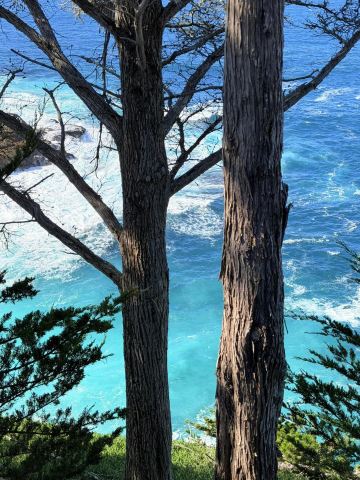 カリフォルニア州ハイウェイ1号線ガイド｜太平洋の風と自由 | Trip.com