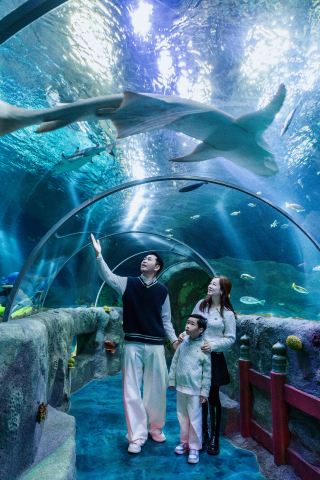 日本樂高樂園對面！名古屋SEA LIFE水族館遛娃攻略