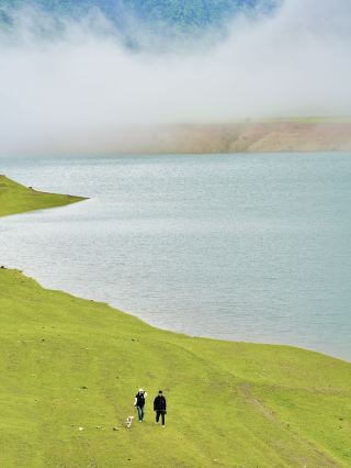 川西の絶景ペット天国！冶勒湖牧羊谷1日観光ガイド