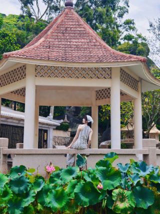  One-day tour around Xiamen! Waiyu + Wubitoujiao + Puzhao Zen Temple + Zhangzhou Nan'an Reservoir + Jinghu Reservoir + South Taiwu golden coast (including photo spots and tips to avoid pitfalls)