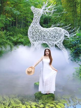 躲進25℃的綠野仙蹤！南山竹海一日漫遊指南