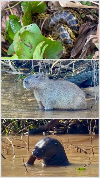 An Unforgettable Wildlife Adventure with Expert Guidance